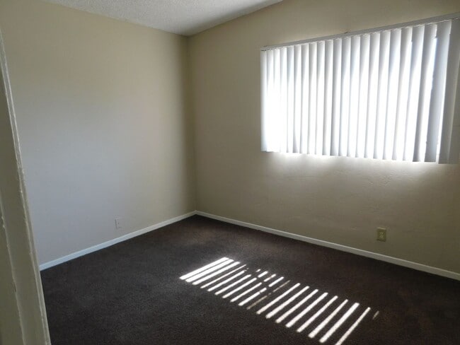 Building Photo - 337 Oasis Dr