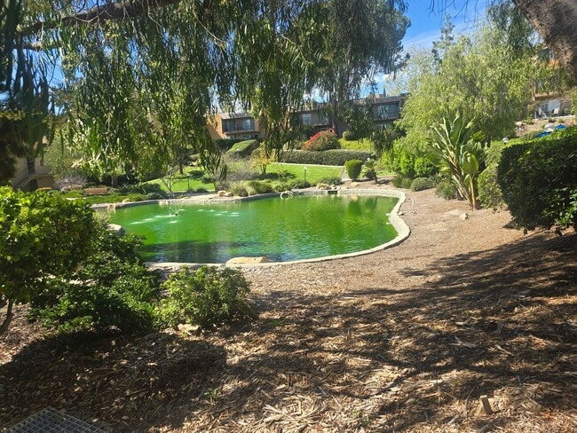 Building Photo - 1 Bed 1 Bath Close to Lake Murray