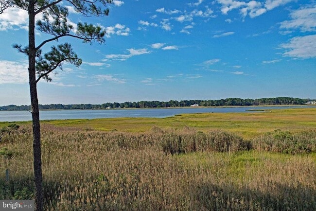 Building Photo - 34903 W Love Dr