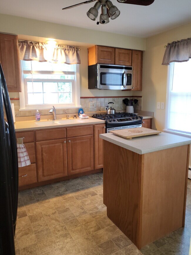 Primary Photo - Fully Furnished Fairfax Street Home with O...