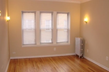 Living Room 1317 1/2 West Touhy,2N - Touhy - by - the - Lake