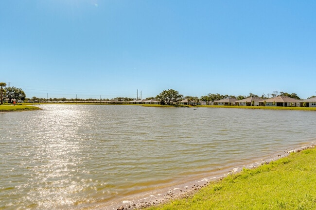 Building Photo - 217 Ibiza Lp