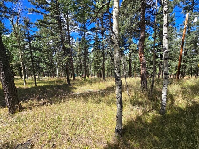 Building Photo - 23 Orchid Rd