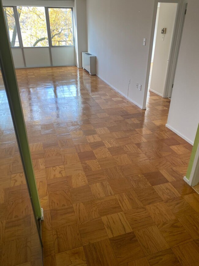 Building Photo - Large 744 sq.ft. 1 bedroom in historic Riverpark DC building