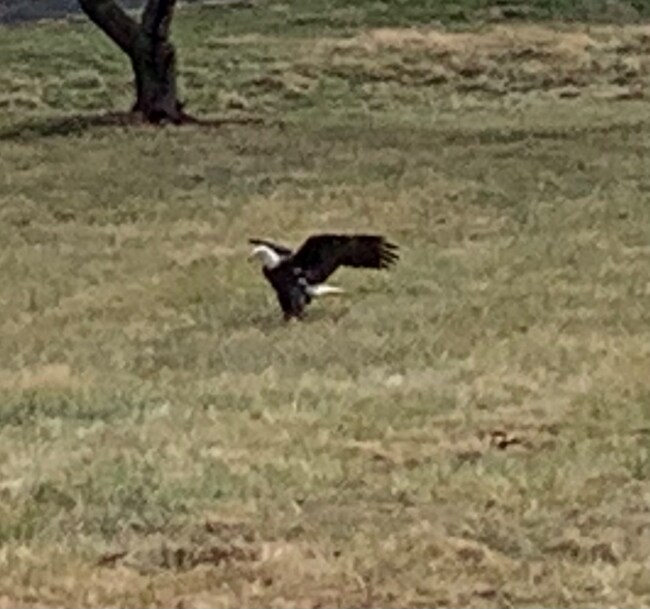 Building Photo - 8914 Watkins Rd