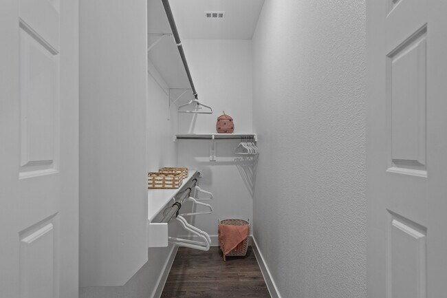 Walk-in Closet - Mansions of Denton