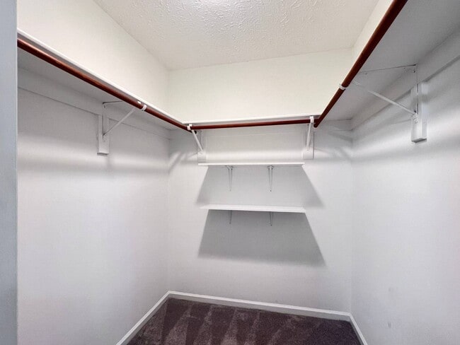 Building Photo - 109 Carmel Woods Ct