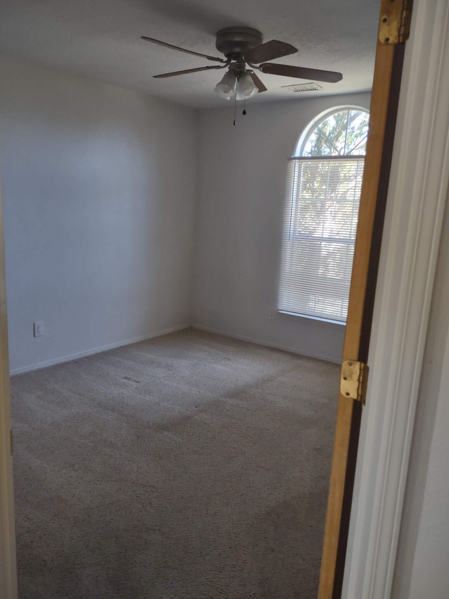 Building Photo - 20 Appaloosa Ln