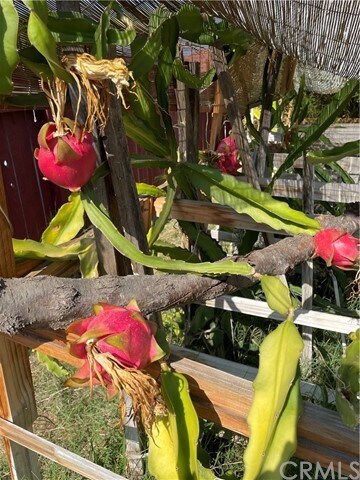 Building Photo - 4280 Jenkins Ln