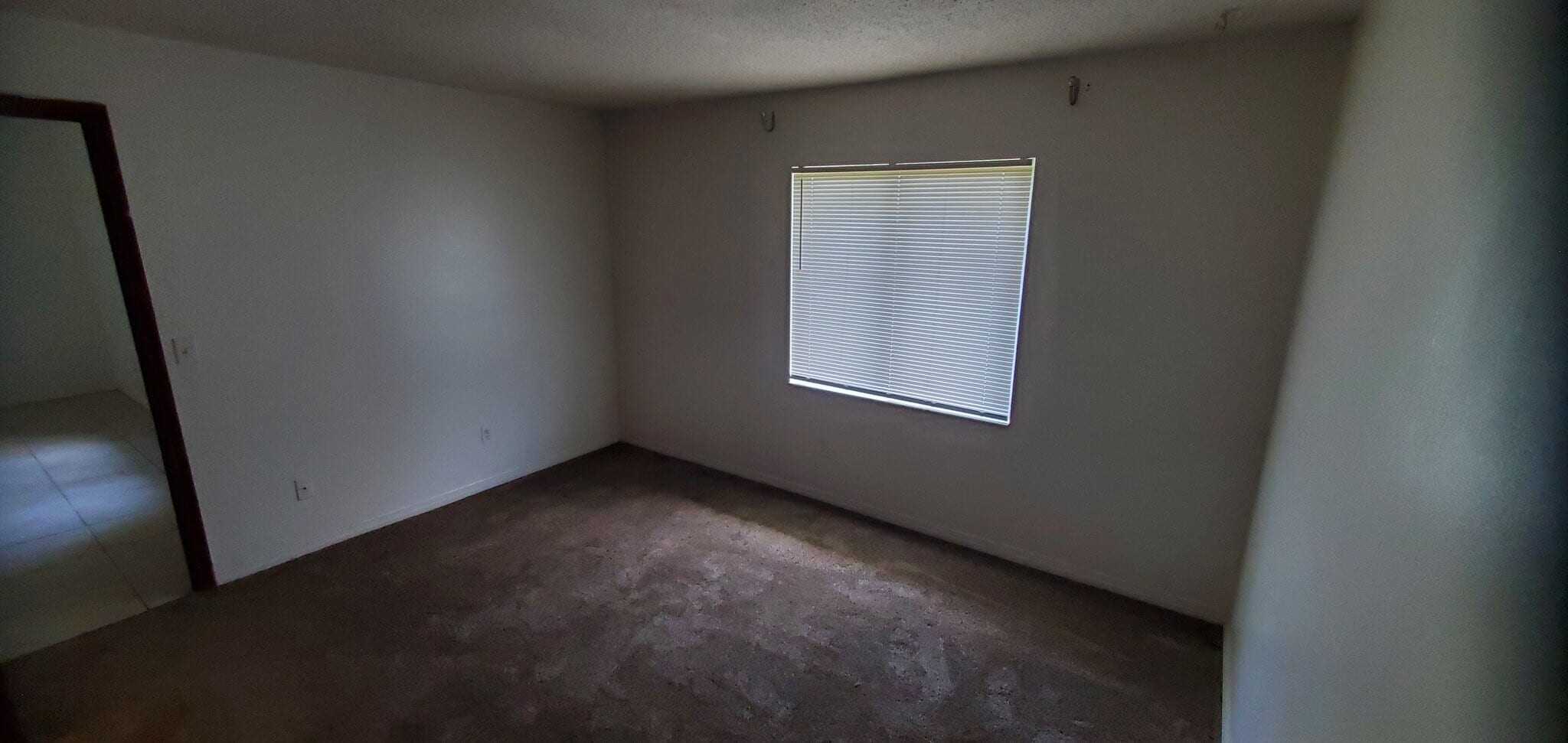 Building Photo - 1222 Tino Ct