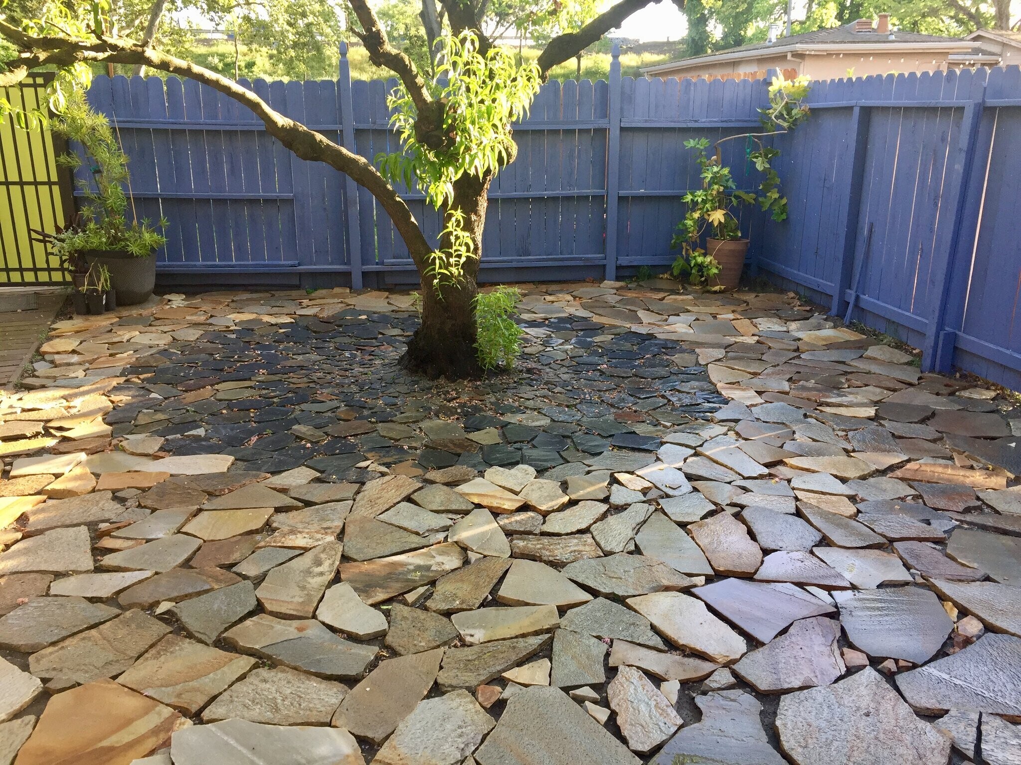 Building Photo - 814 Victorian Alley