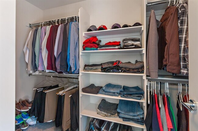 Master Closet - 3462 Albion St