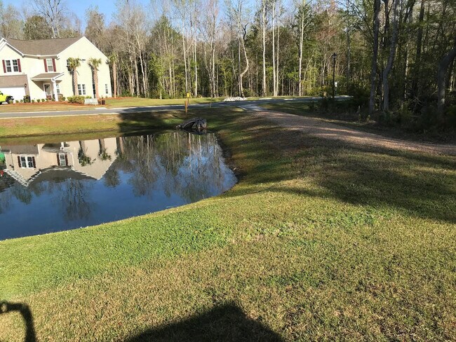 Building Photo - LARGE HOME WITH A POND LOT!