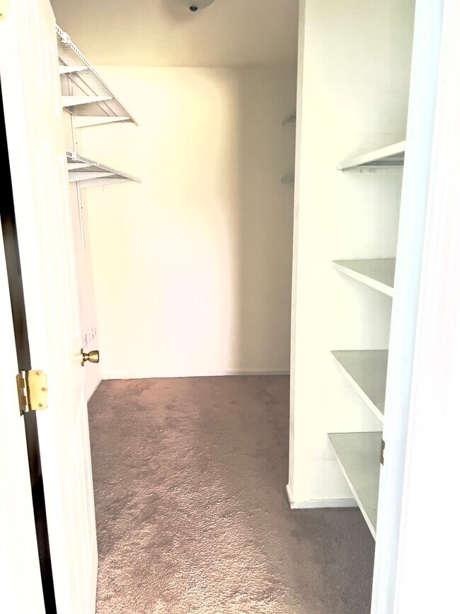 Building Photo - 117 Mullingar Ct