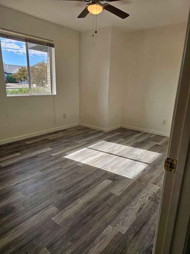 Building Photo - Big backyard right in the center of town!!!