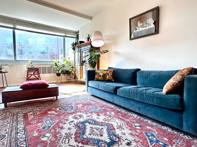 Living roomLiving Roo - 4200 Cathedral Ave NW