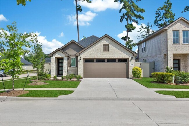 Primary Photo - 40391 Bay Warbler Wy