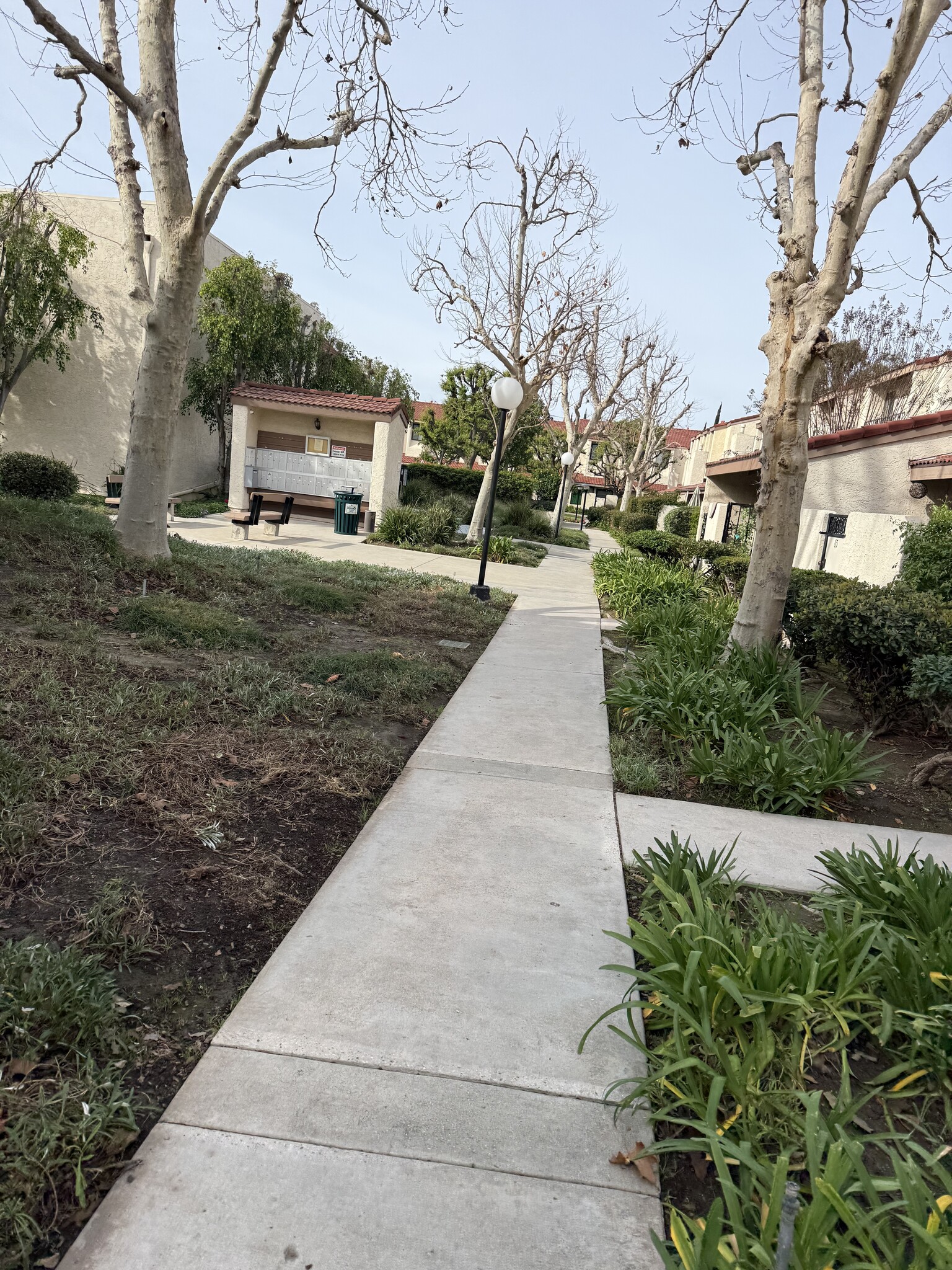 walkway/foliage - 6031 Lindley Ave