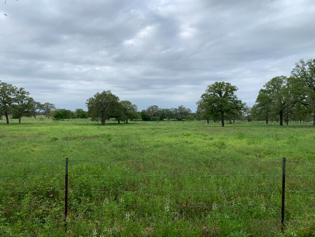 Building Photo - 4296 TX-304