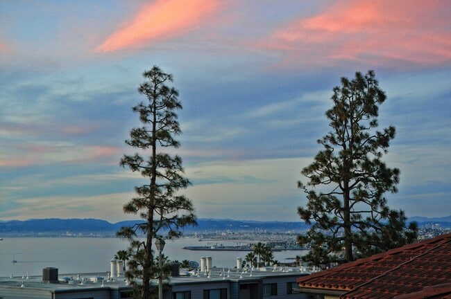 Building Photo - 108 Vía Mesa Grande