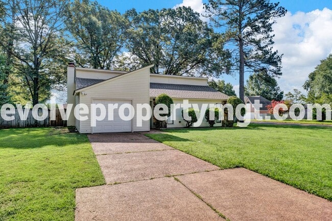 Building Photo - COLLIERVILLE HOME!!