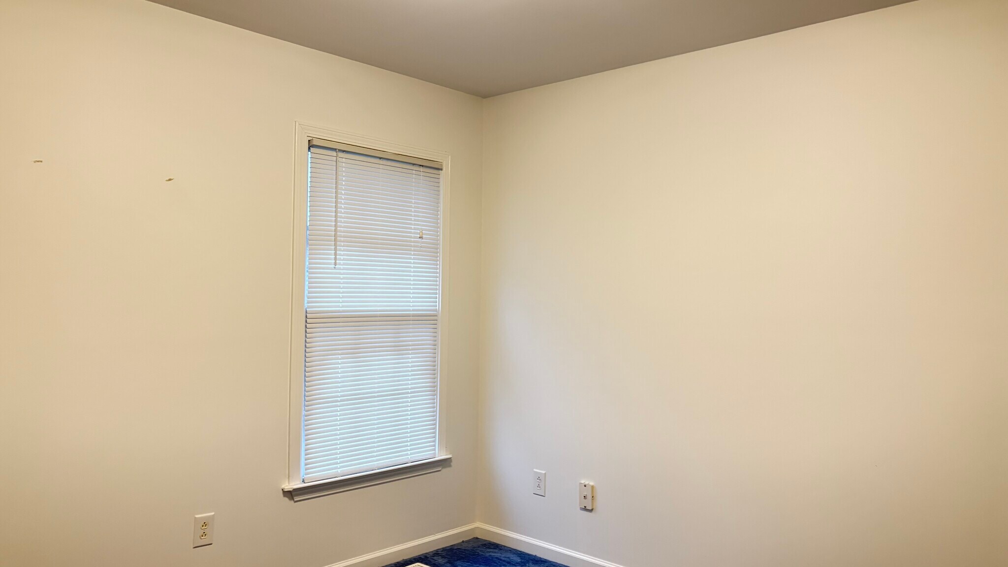 Building Photo - 12 Willow Tree Ct