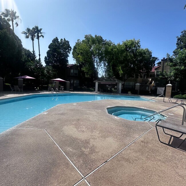 Building Photo - Must See!! Gorgeous 2 Bedroom, 2 Bathroom ...