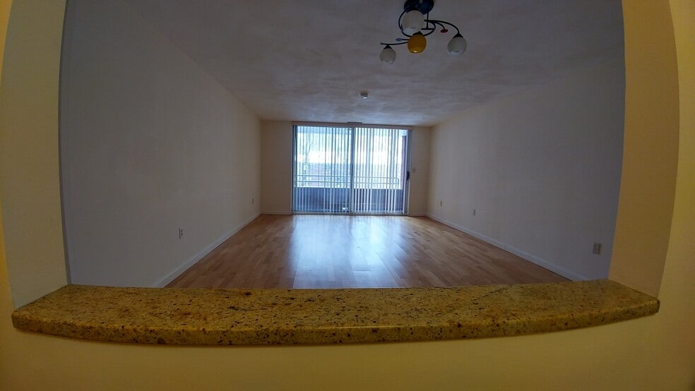 Living (view from kitchen) - 50 Watertown St