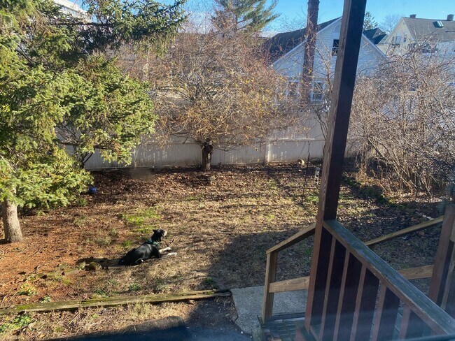 Building Photo - 7 University Pl