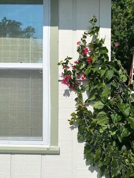 Building Photo - 2433 Lydia Way