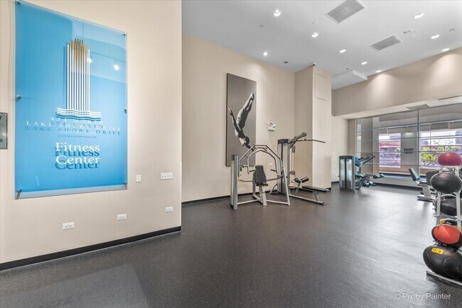 Building Photo - 474 N Lake Shore Dr
