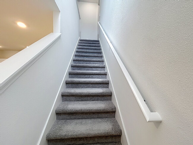 Building Photo - Beautiful New Townhome in The Townes at Cross Creek | New Tampa!