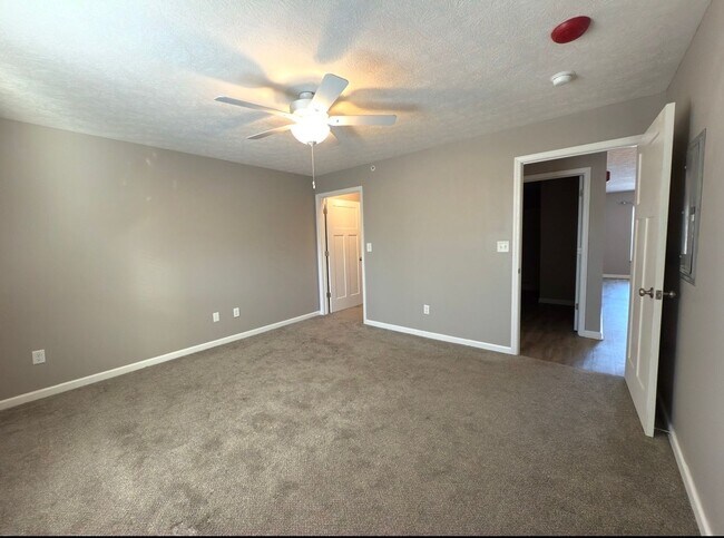 Building Photo - Ground Floor....1 Bed 1 Bath apartment