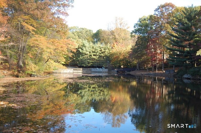 Building Photo - 50 Aiken St