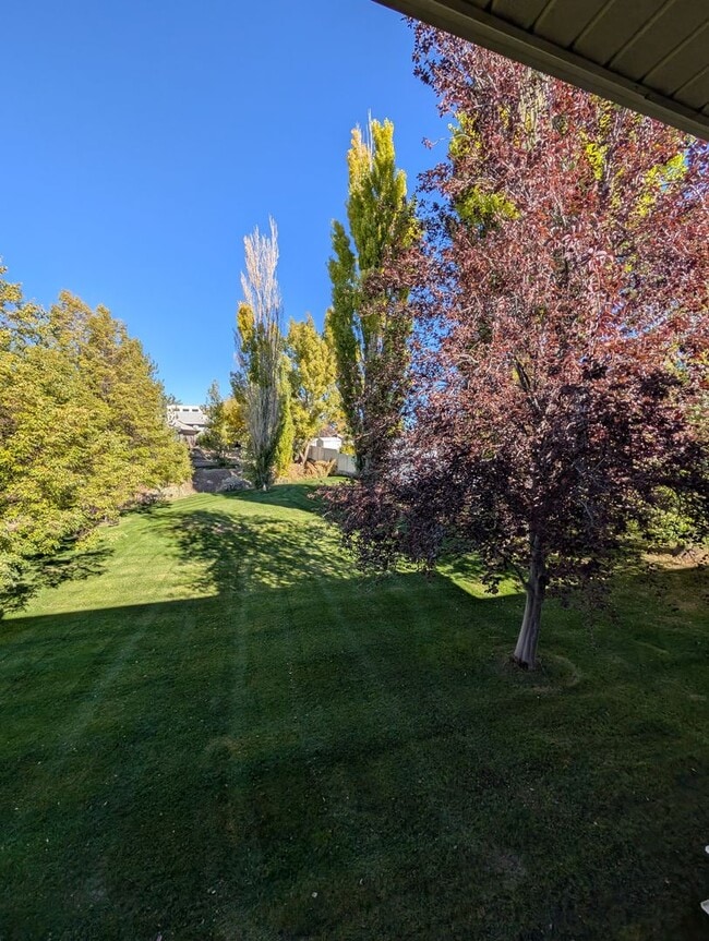 Building Photo - 1366 Delphic Way