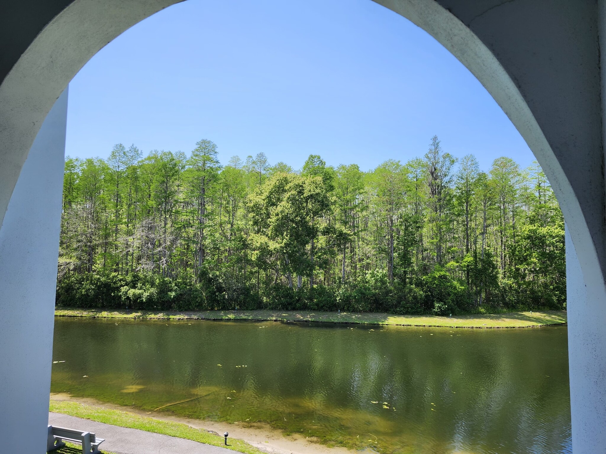 Large pond view from the breezeway - 1353 Pine Ridge Cir E