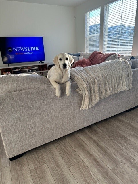 dog not included:) - 11000 Uvalda St