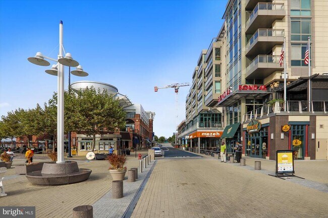 Building Photo - 104 St Ives Pl