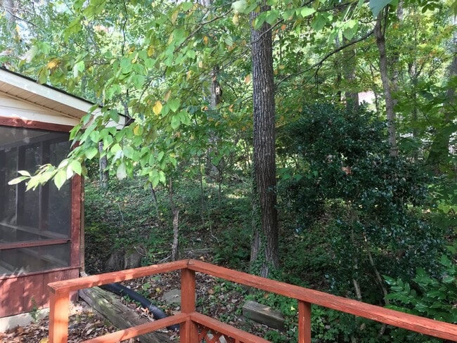 Building Photo - Prime location!  Award winning Oak Ridge Schools