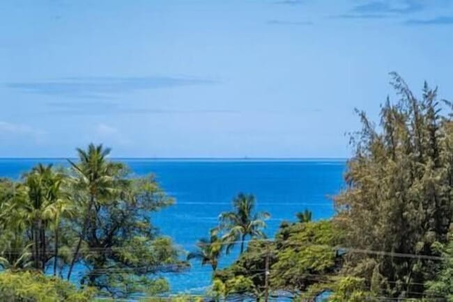 Building Photo - 2575 S Kihei Rd