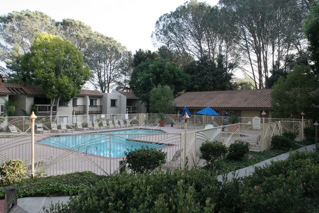 pool - 1730 S El Camino Real