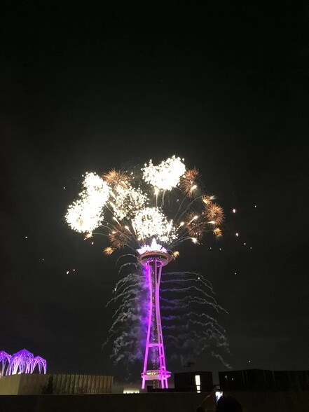 Amenities- Fireworks from Roof New Years - 2911 2nd Ave