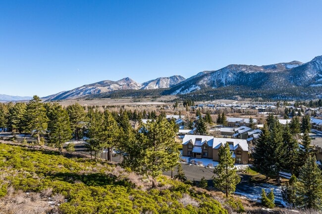 Building Photo - Mountain View Haven