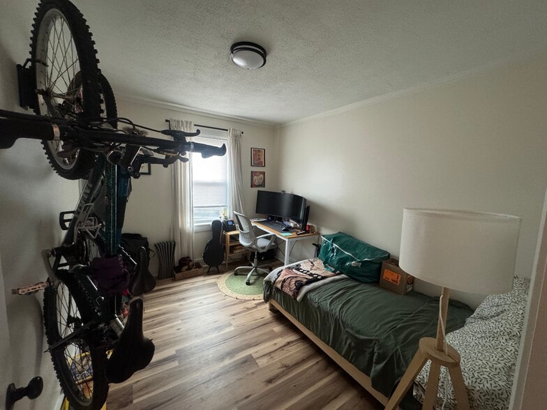 Second Bedroom - 4 Palmer St