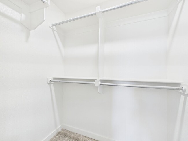 Building Photo - 2900 Haystack Wy