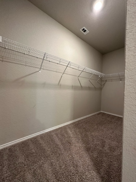 Large closet spaces - 2130 Dry Moss Pass