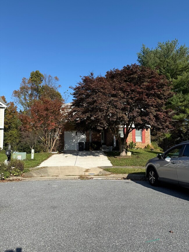 Building Photo - 11 Honeybell Ct