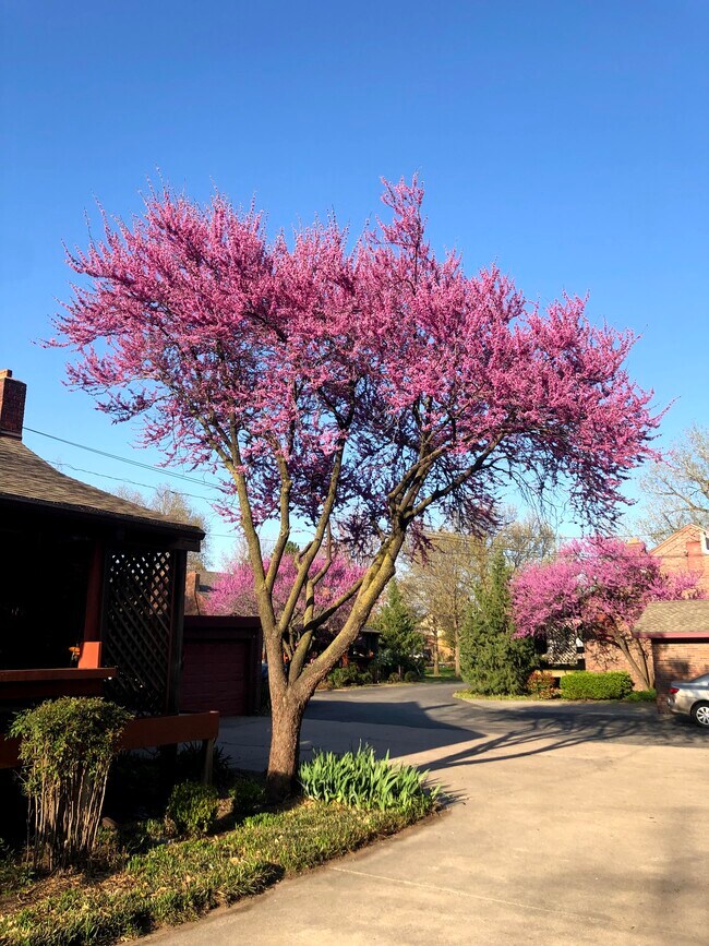 Building Photo - 1005 N Waco Ave