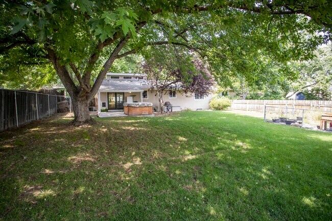 Large backyard view from firepit back toward the house - 731 Garnet Ave