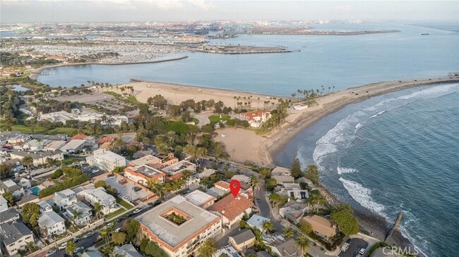 Building Photo - 3935 Bluff Pl